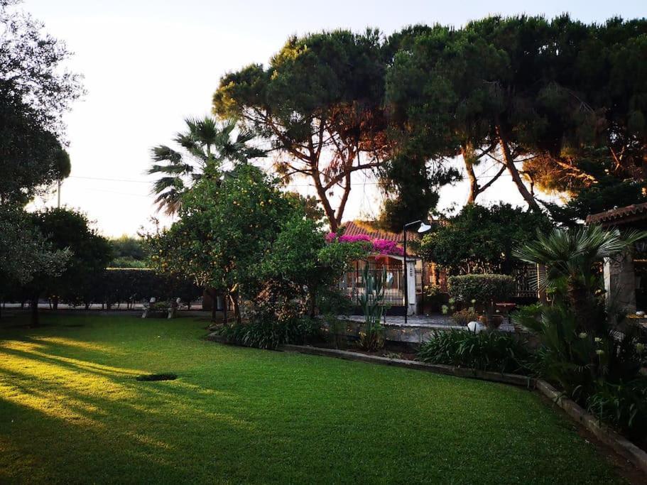 Villa Lena Entire Cottage Kalamaki  Exterior foto